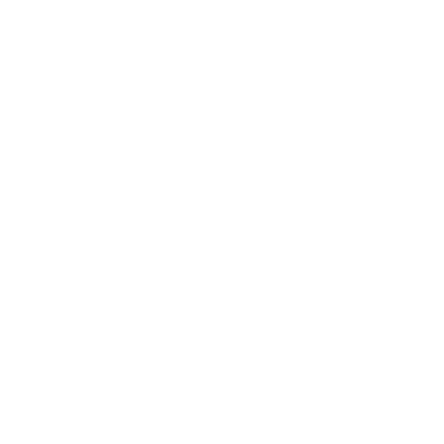 PIX11